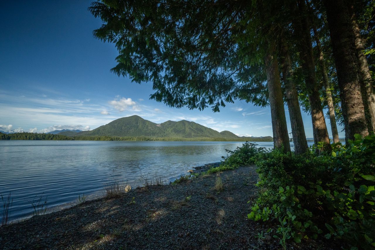 j_kelsey_20210616_0146-2 at 950 Campbell Street j_kelsey_20210616_0146-2 at 950 Campbell Street