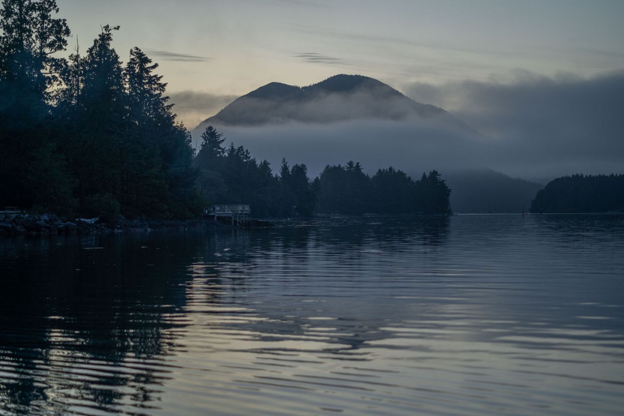 j_kelsey_20210623_0397 at 950 Campbell Street j_kelsey_20210623_0397 at 950 Campbell Street