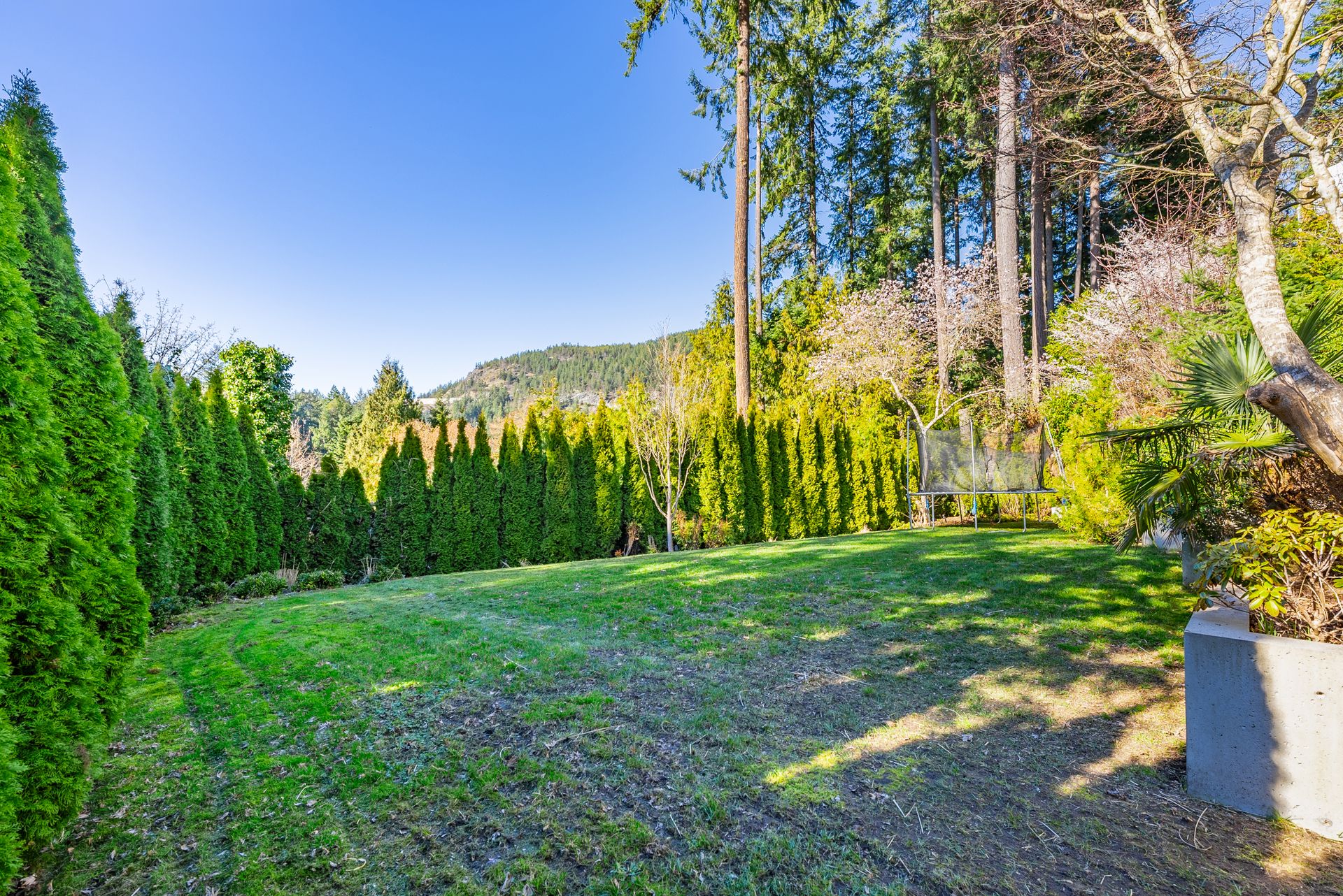 5732 Westport Court back yard at 5732 Westport Court, Eagle Harbour, West Vancouver 5732 Westport Court back yard at 5732 Westport Court, Eagle Harbour, West Vancouver