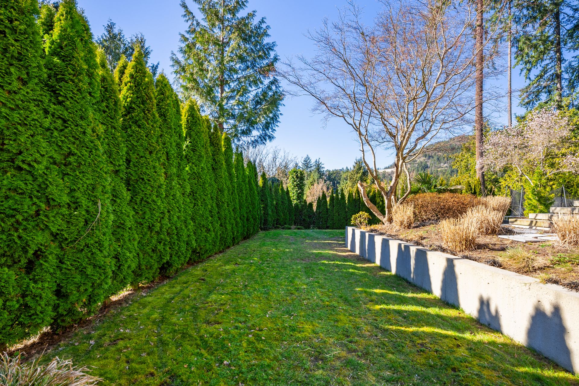 5732 Westport Court grass yard at 5732 Westport Court, Eagle Harbour, West Vancouver 5732 Westport Court grass yard at 5732 Westport Court, Eagle Harbour, West Vancouver