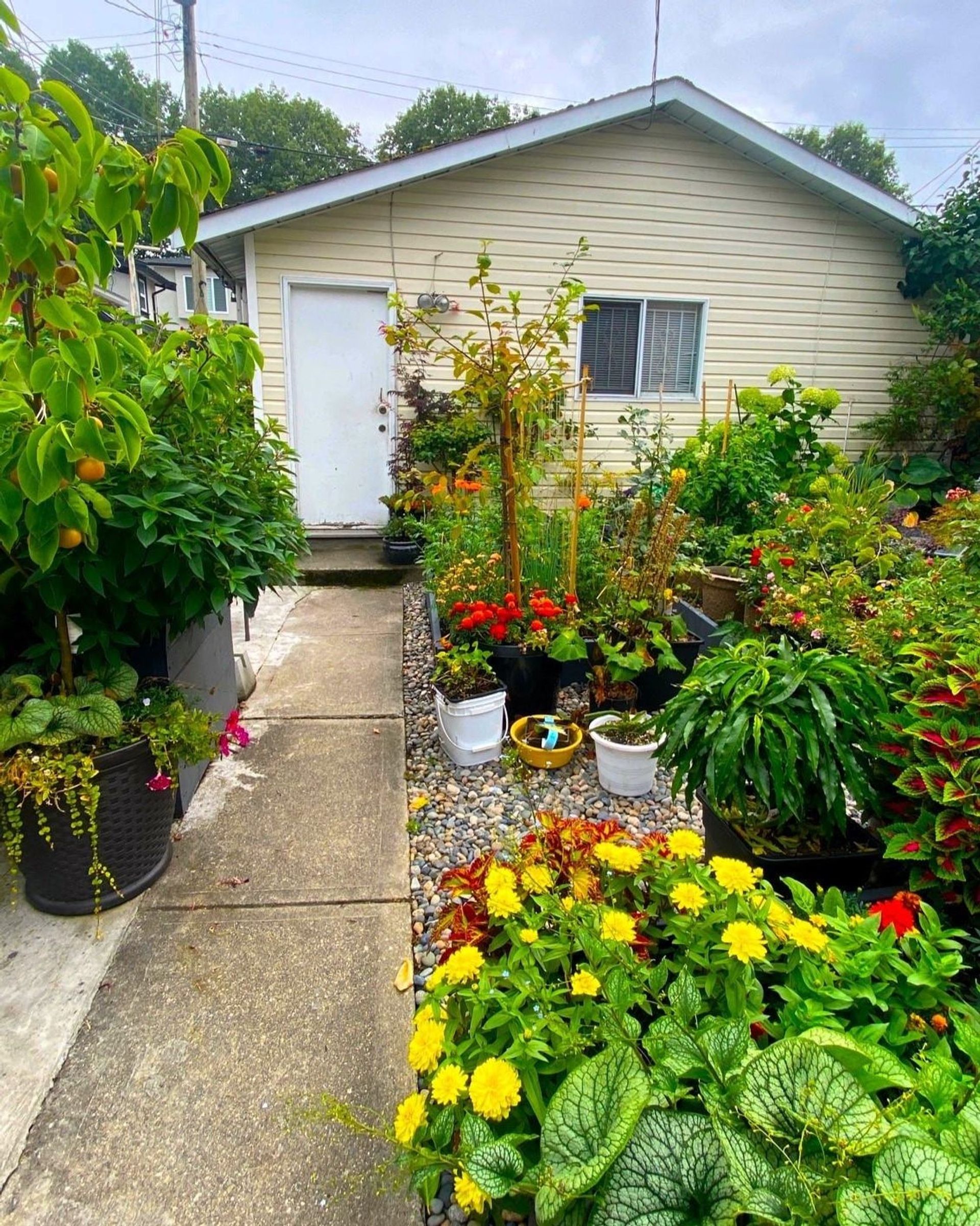 2070-e-26th-avenue-victoria-ve-vancouver-east-18 at 2070 E 26th Avenue, Victoria VE, Vancouver East 2070-e-26th-avenue-victoria-ve-vancouver-east-18 at 2070 E 26th Avenue, Victoria VE, Vancouver East