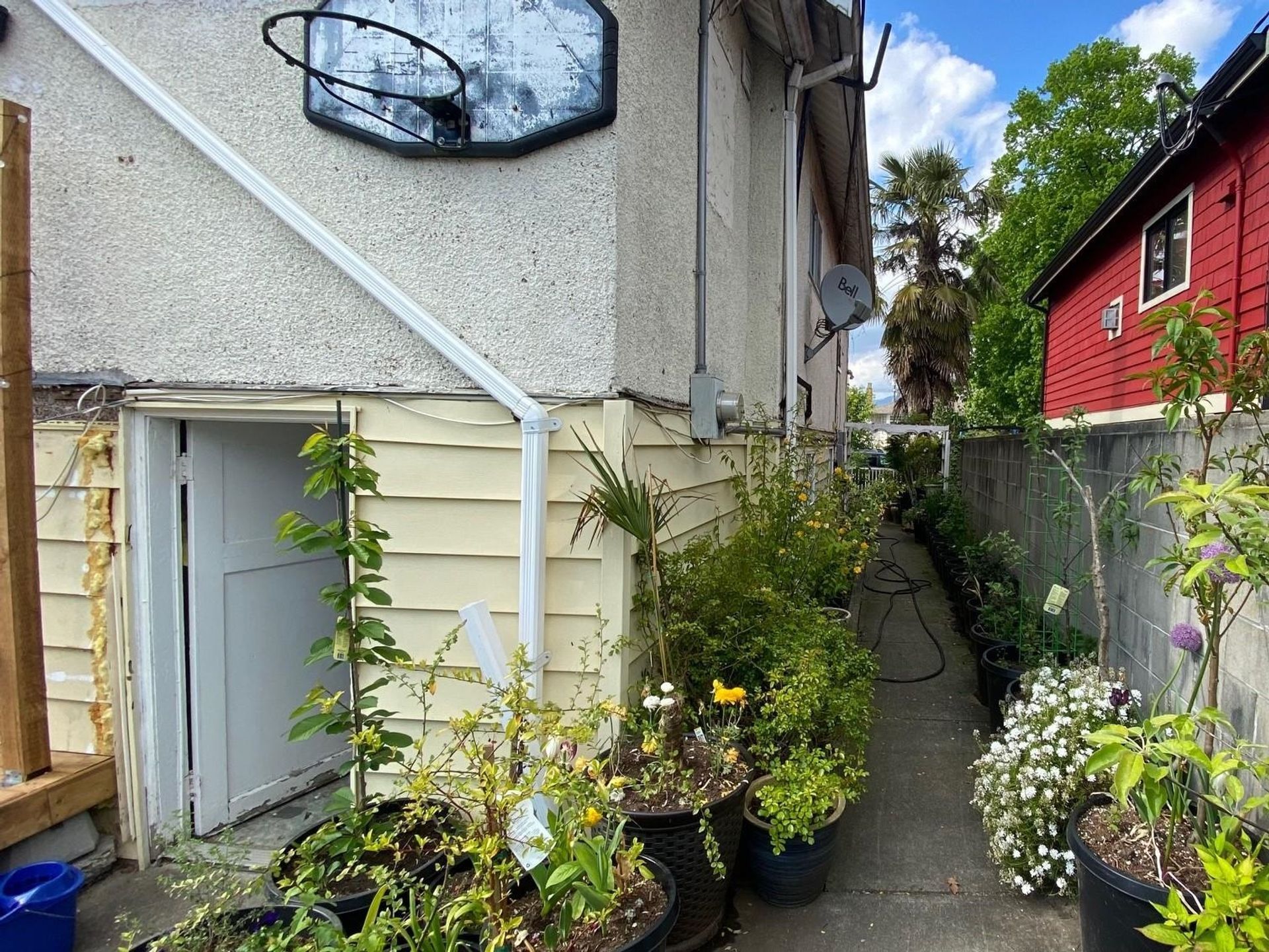 2070-e-26th-avenue-victoria-ve-vancouver-east-11 at 2070 E 26th Avenue, Victoria VE, Vancouver East 2070-e-26th-avenue-victoria-ve-vancouver-east-11 at 2070 E 26th Avenue, Victoria VE, Vancouver East