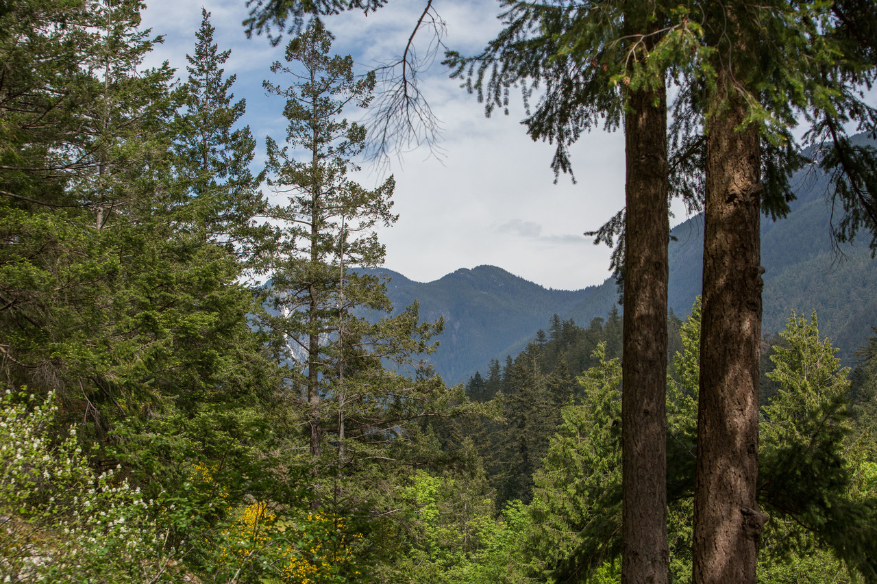 high-24 at 6975 Marine Drive, Whytecliff, West Vancouver high-24 at 6975 Marine Drive, Whytecliff, West Vancouver