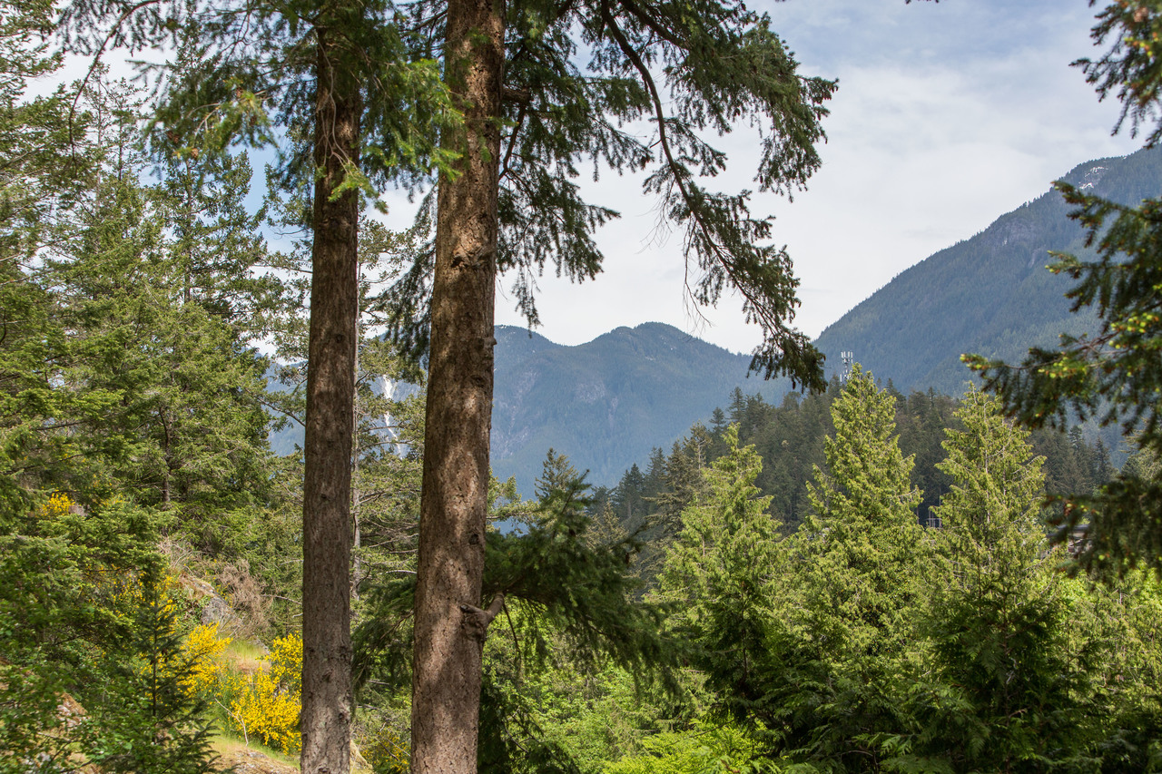 high-25 at 6975 Marine Drive, Whytecliff, West Vancouver high-25 at 6975 Marine Drive, Whytecliff, West Vancouver