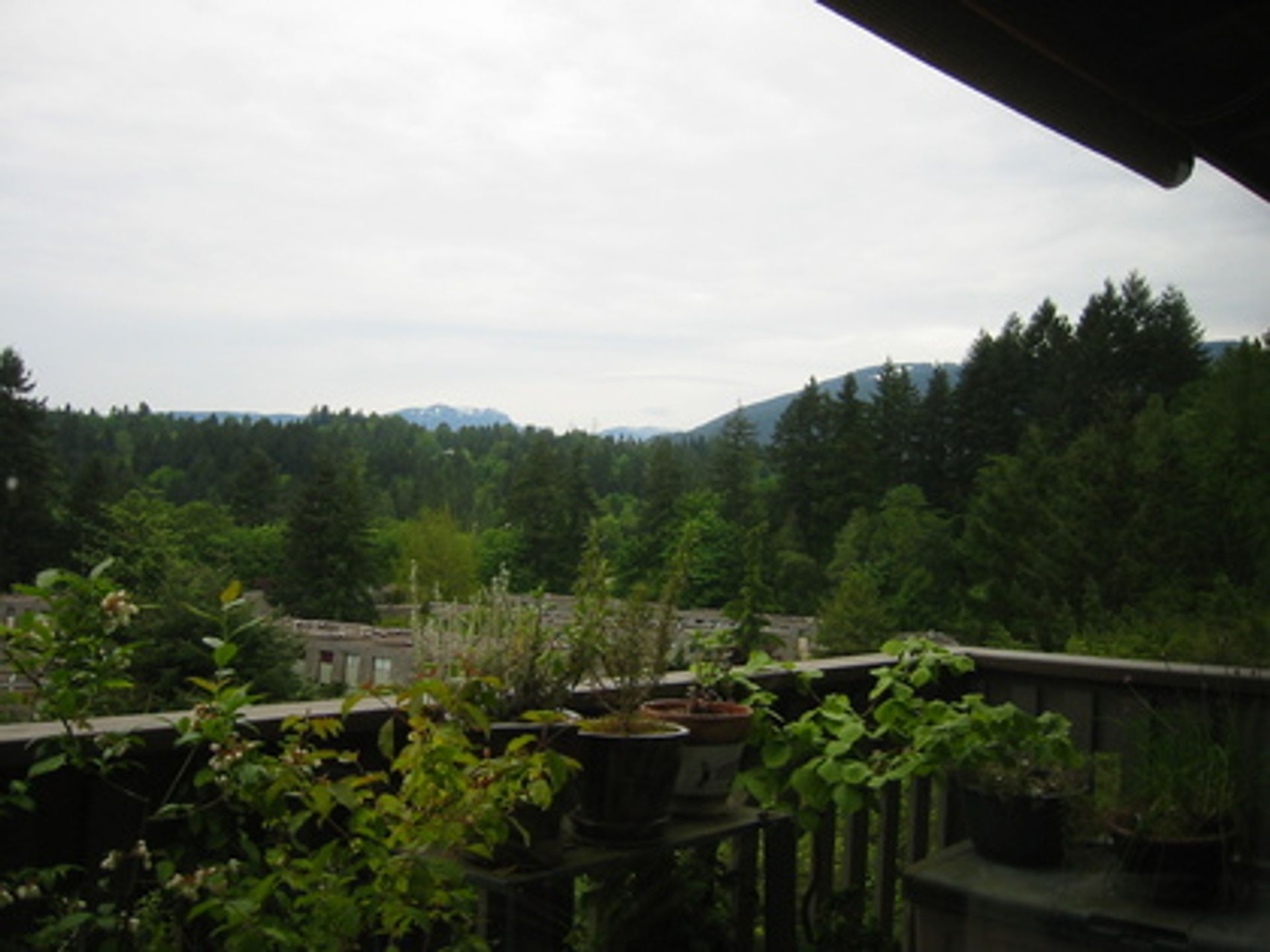 1141 Lillooet Road, Lynnmour, North Vancouver photo number 1