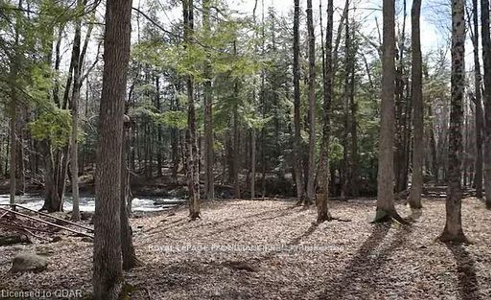 LOT 4 FUTURE Lane 