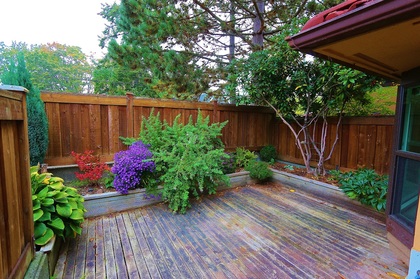 img_8470 at 1 - 3301 W 16th, Kitsilano, Vancouver West