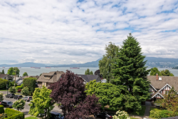 103 at 2562 York Avenue, Kitsilano, Vancouver West