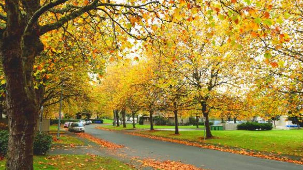 8060 Colonial Drive, Richmond 