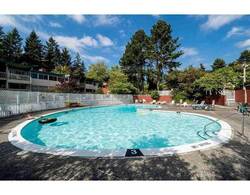 Outdoor pool at 801 Westview Crescent, Upper Lonsdale, North Vancouver