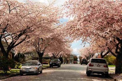 262174554-15 at 6823 Grant Place, Sperling-Duthie, Burnaby North