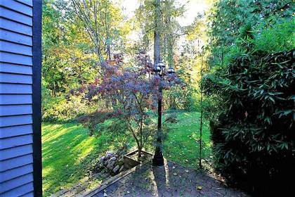 Patio at 8503 Timber Court, Burnaby North