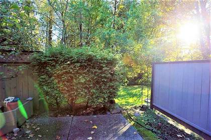 Backyard at 8503 Timber Court, Burnaby North