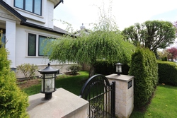 img_9987 at 3650 Trafalgar Street, Arbutus, Vancouver West