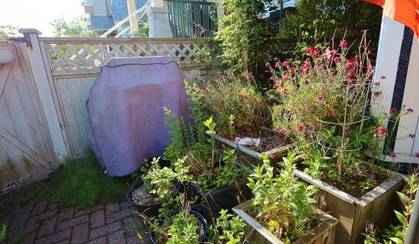 00w0w_cv1tpovh8iv_600x450 at 3641 west 7th Street, Kitsilano, Vancouver West