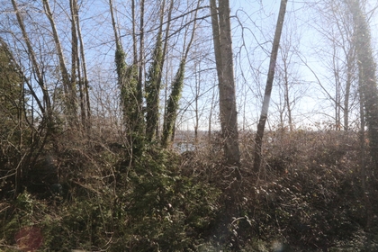 img_1253_fotor at 2218 Portside Court, Fraserview VE, Vancouver East