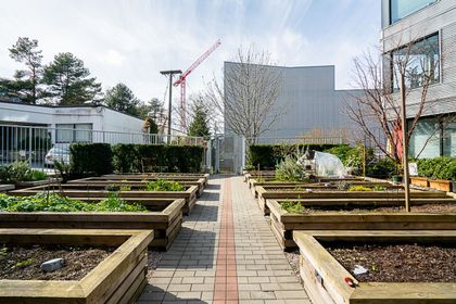 o-2 at 513 - 384 E 1st Street, Mount Pleasant VE, Vancouver East