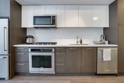 chkr4ixg at 204 - 384 East 1st Avenue, Mount Pleasant VE, Vancouver East