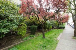 281443c7388bbb5e05b1f1ff6b36d2ff at 102 - 750 7th Avenue, Mount Pleasant VE, Vancouver East