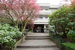 3c573d98c5b5cd447679a1d4739788ed at 102 - 750 7th Avenue, Mount Pleasant VE, Vancouver East