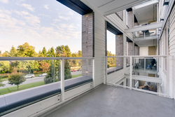 15 at 312 - 6677 Cambie, Oakridge VW, Vancouver West