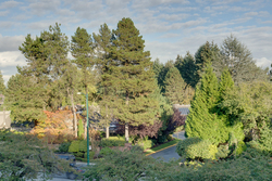 16 at 312 - 6677 Cambie, Oakridge VW, Vancouver West