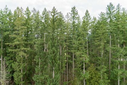 262568791-27 at 1209 - 3080 Lincoln, Coquitlam