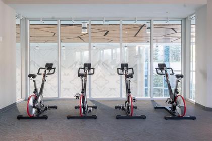 262623325-37 at 2702 - 680 Seylynn, Lynnmour, North Vancouver