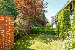 k-9 at 1787 Napier Street, Grandview VE, Vancouver East