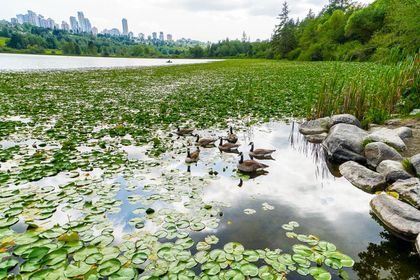 n-3 at 5130 Rugby Street, Buckingham Heights, Burnaby South