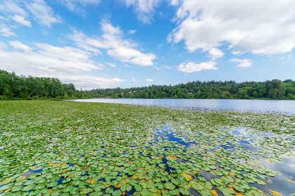 k-2 at Upper - 5130 Rugby Street, Buckingham Heights, Burnaby South