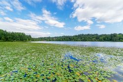 j-2 at LOWER - 5130 Rugby Street, Buckingham Heights, Burnaby South