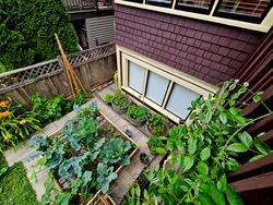 20230715_171907 at Main - 296 West 17th Avenue, Cambie, Vancouver West