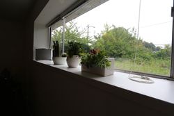 img_1591 at Lower - 3525 Dunbar, Dunbar, Vancouver West