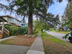 20241011_163742 at 3275 West 32nd Avenue, Dunbar, Vancouver West