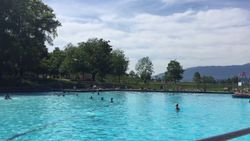 new-brighton-park-pool at 106 - 2889 East 1st Avenue, Renfrew VE, Vancouver East