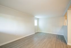 3884-w-16th-avenue-vancouver-30 at BSMT - 3884 16th Avenue, Dunbar, Vancouver West