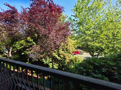 20250721_102226 at 230 - 588 E 5th Avenue, Mount Pleasant VE, Vancouver East