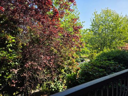 20250721_102237 at 230 - 588 E 5th Avenue, Mount Pleasant VE, Vancouver East