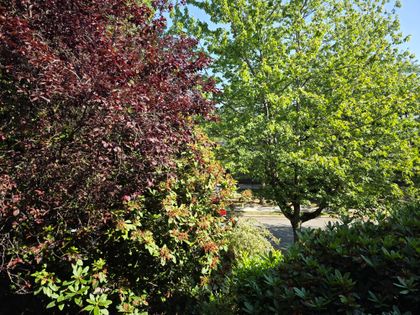 20250721_102245 at 230 - 588 E 5th Avenue, Mount Pleasant VE, Vancouver East