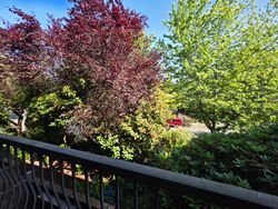 20250721_102226 at 230 - 588 E 5th Avenue, Mount Pleasant VE, Vancouver East