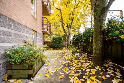 unit-102-3290-west-4th-avenue-vancouver-33 at 102 - 3290 4th Avenue, Kitsilano, Vancouver West