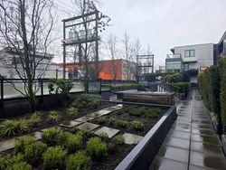 20260129_110613 at 301 - 1588 Hastings, Hastings East, Vancouver East