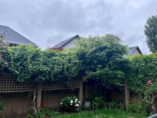 2573-163-street-grandview-surrey-south-surrey-white-rock-26 at 2573 163 Street, Grandview Surrey, South Surrey White Rock