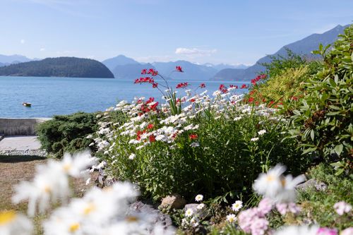 8665-lawrence-way-howe-sound-west-vancouver-11 at 8665 Lawrence Way, Howe Sound, West Vancouver