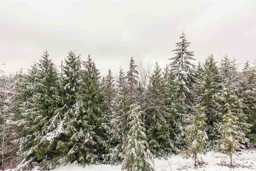 16219172f16a56f99ff30b7a65c5c2b7 at 17 - 1026 Glacier View Drive, Garibaldi Highlands, Squamish