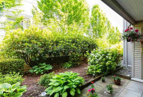 e2bab3979a1030a61656547e3485849d at 215 - 6359 198 Street, Willoughby Heights, Langley