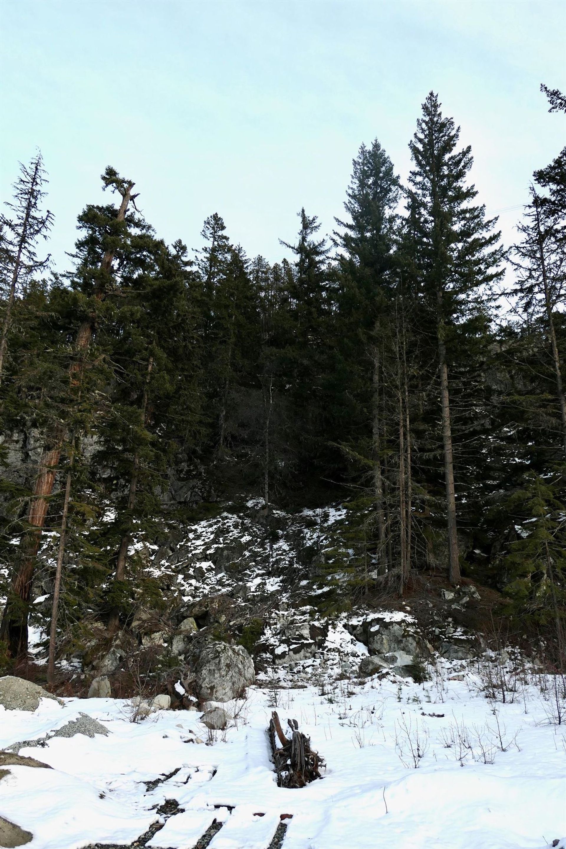 9112 Corduroy Run Court, WedgeWoods, Whistler by Angell Hasman & Associates Realty Whistler 9112 Corduroy Run Court, WedgeWoods, Whistler