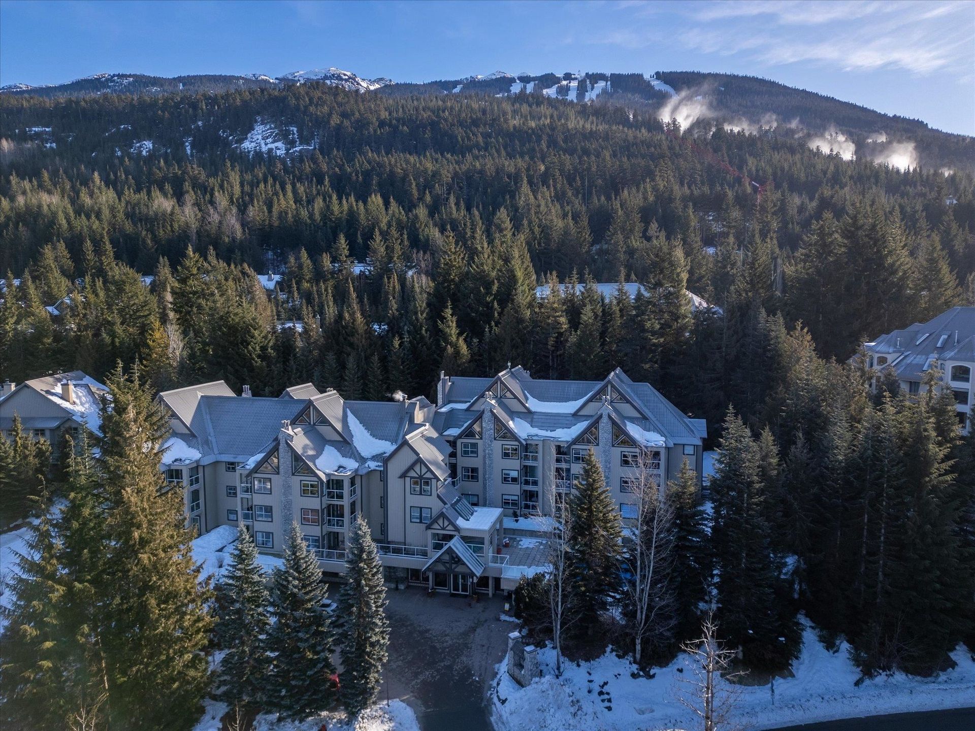 209 - 4749 Spearhead Drive, Benchlands, Whistler 