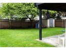 20496 Dale Drive - Back yard at 20496 Dale Drive, Southwest Maple Ridge, Maple Ridge 20496 Dale Drive - Back yard at 20496 Dale Drive, Southwest Maple Ridge, Maple Ridge